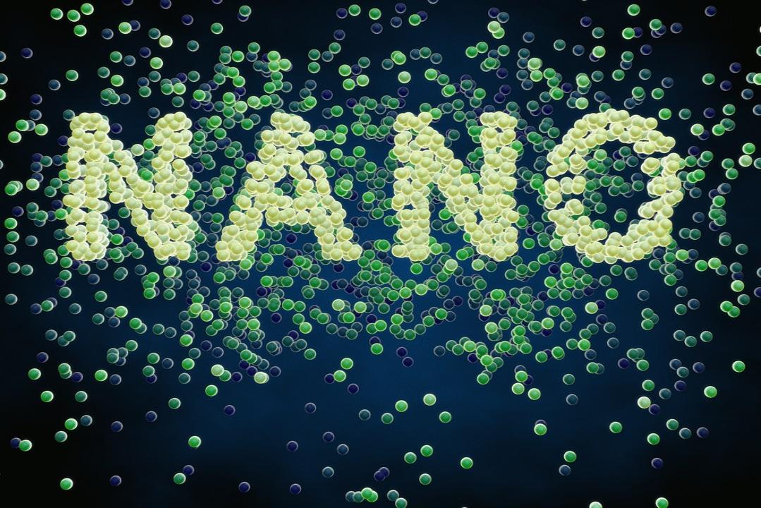 cząsteczki nanopowłok